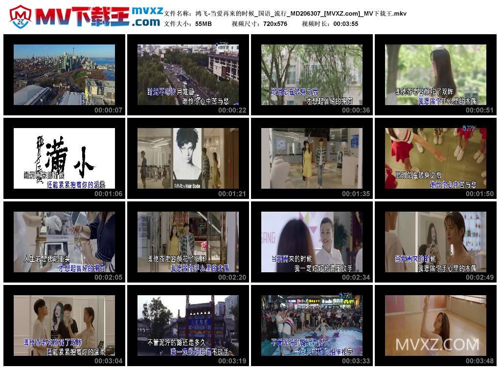 鸿飞-当爱再来的时候_国语_流行_MD206307